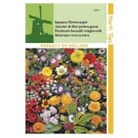 AMESTEC DE GAZON JAPONEZ 1,2gr