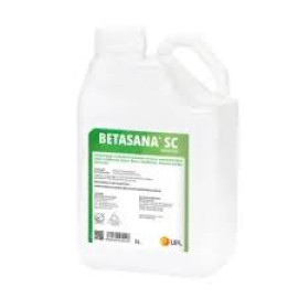 BETASANA 5L
