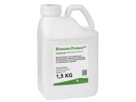 BLOSSOM PROTECT 1,5KG