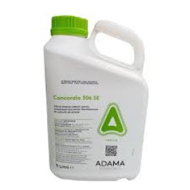 CONCORDIA 306 SE 5L