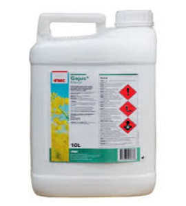 GAJUS 10L