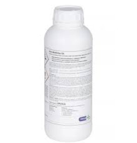 INTRA MULTI-DES GA (1L, 5L, 10L)