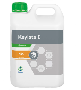 KEYLATE B bor 5L