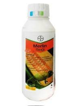 MERLIN FLEXX 1L