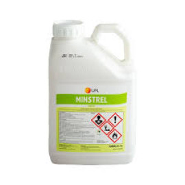 MINSTREL 5L