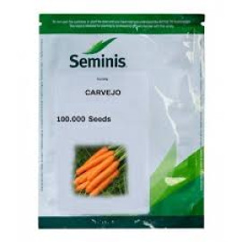 MORCOV CARVEJO F1 100.000 SEMINTE