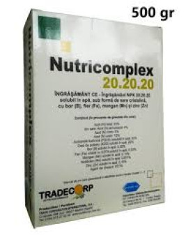 NUTRICOMPLEX 20-20-20 (500gr, 2KG, 25KG)