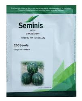 PEPENE VERDE BRYXBERRY F1( 250 SEMINTE/ 1000 SEMINTE)