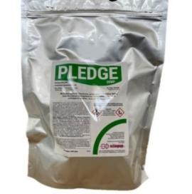 PLEDGE 50 WP 2.4 KG