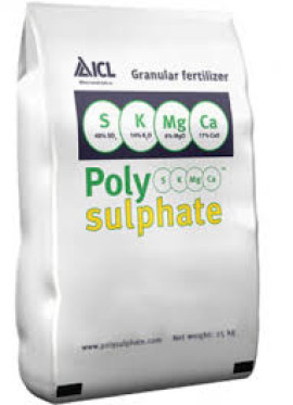 POLYSULPHATE 0-0-14-17CAO-6MGO-48SO4 600KG
