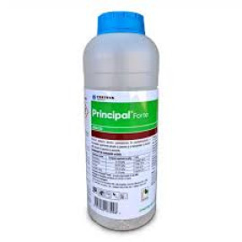 PRINCIPAL FORTE (480gr, 2.4 KG)