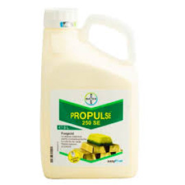 PROPULSE 250 SE 5L
