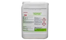 RAPSIN 10L