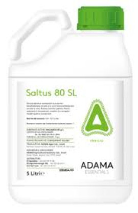 SALTUS 80 SL 5L