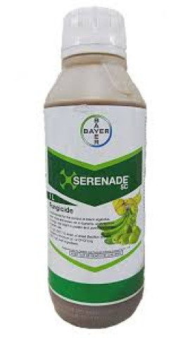 SERENADE ASO SC (1L, 5L)