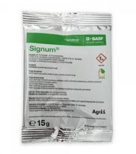 SIGNUM (15gr, 50gr, 500gr, 1KG)