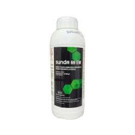 SUNDA 69 EW 1 L