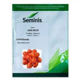 TOMATE JAG 8810 F1 10.000 SEMINTE