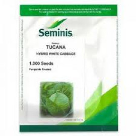 VARZA ALBA TUCANA F1 1.000 SEMINTE