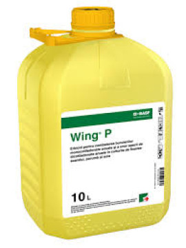 WING P 10L