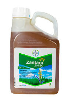 ZANTARA 216 EC 5L